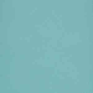 Линолеум FORBO Eternal Colour 40592 turquoise фото ##numphoto## | FLOORDEALER